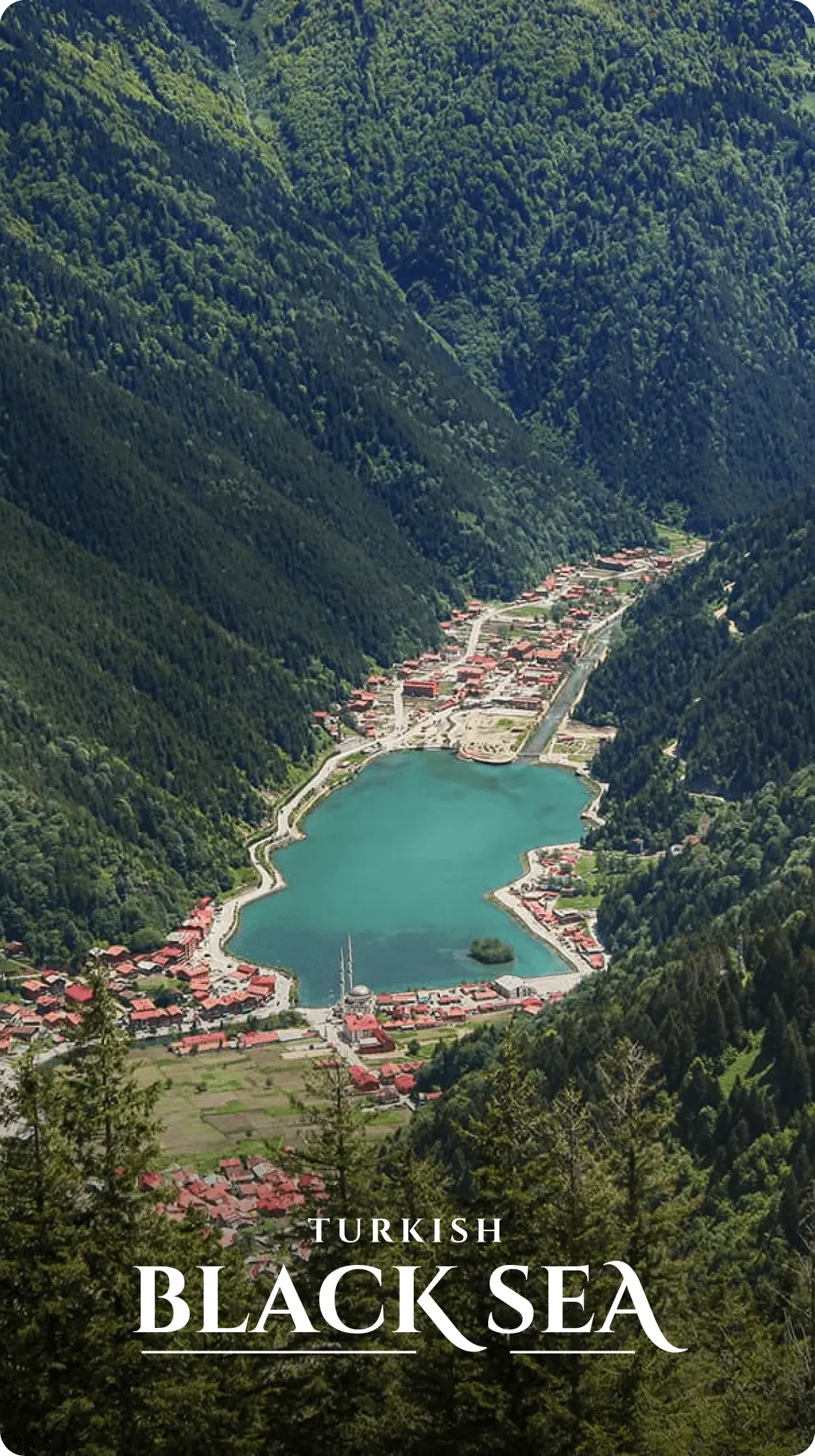 4-min-a3c95b95-0b30-4568-b260-f9ec063ae9df