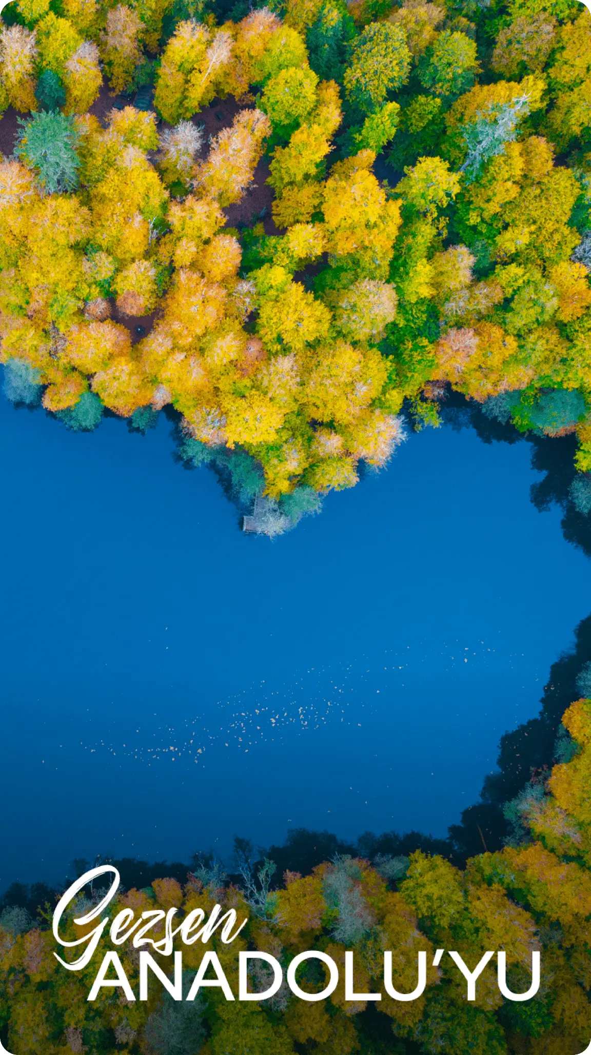 7-min-668acb15-ce85-48fe-a596-6b2d0db7a179